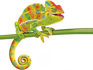 Logo 100%FARBE - Farben - Lacke - Künstlerbedarf