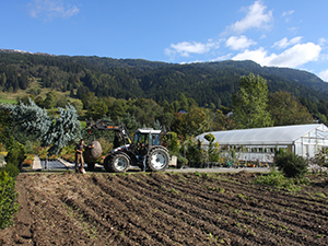 Logo Garten Profi Bernhard Huber