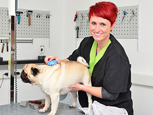 Zum Detaileintrag von Silvia Mayr Hundumschön - Hundesalon