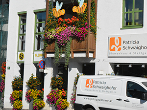Logo Blumenhaus Schwaighofer Patricia