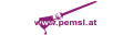Logo Malerei Plattner
