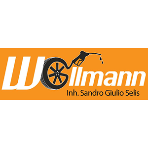Zum Detaileintrag von Reifenmarkt Wollmann Inh. Sandro Giulio Selis