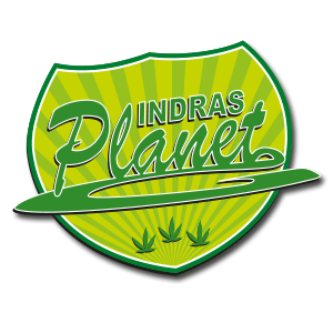 Zum Detaileintrag von Indra's Planet GmbH