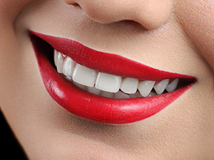 Logo Dr. Elisabeth Stastny