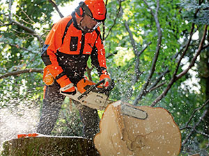 Werkzeug Einzelhandel In Vorarlberg Heroldat