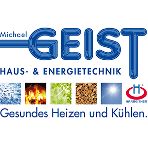 Logo Ing. Michael Geist