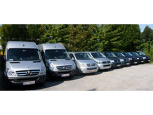 Logo Plesnicar Automobile GesmbH