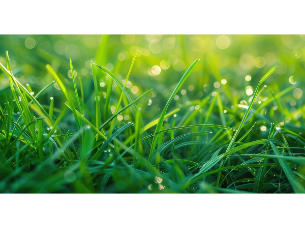 Bild 1 von SuperON GmbH