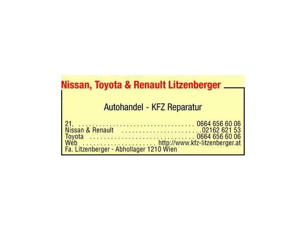 Bild 1 von Nissan & Renault Litzenberger