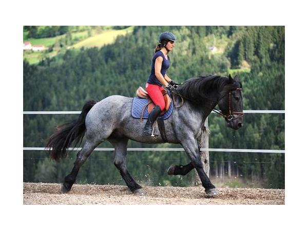 Bild 3 von Angererhof - Gerhild und Heinz Hutegger