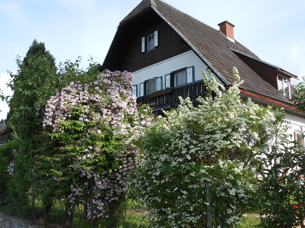 Bild 7 von Pension Gierlinger
