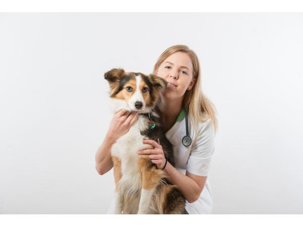 Bild 2 von Tierarztpraxis Amstetten Mag.med vet Forster Johanna