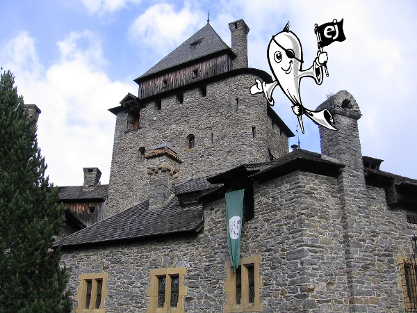 Bild 4 von Erlebnis- und Freizeitlocation Burg Finstergrün