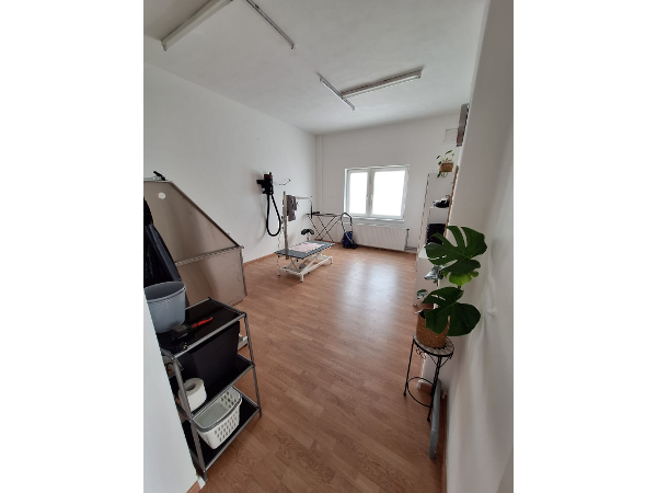 Bild 1 von Hund's-wüd Grooming & Shop
