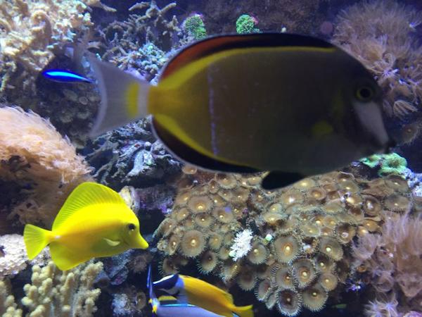 Bild 4 von Aquashop Inh Manfred de Pasqualin