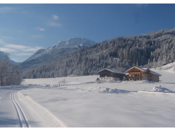Bild 1 von Öbristhof - Bio Bauernhof