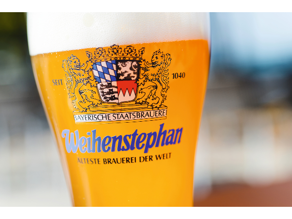 Bild 93 von MEDIArt Photographie