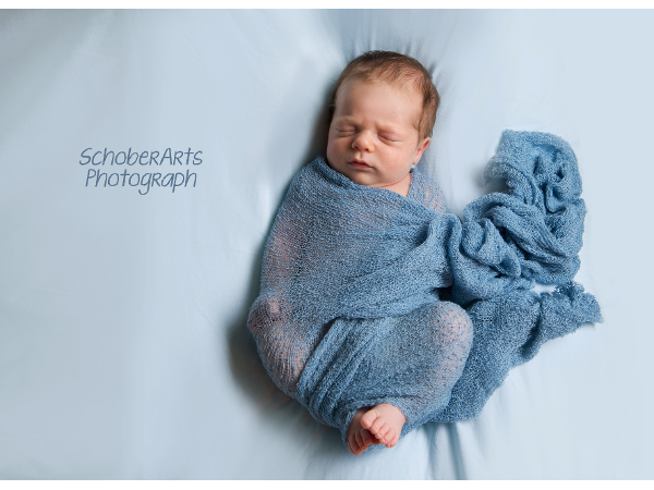 Bild 5 von Schober Arts-Photograph - Silvia Schober