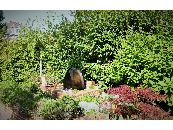 Bild 14 von Rund um Rasen