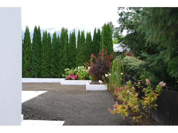 Bild 9 von Blumen und Gärtnerei Riegler GmbH