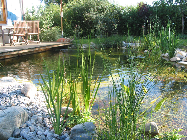 Bild 17 von Ihr Gartengestalter Weinzettel GmbH