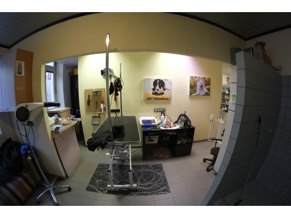 Bild 3 von Hundesalon Wash´N´Wag