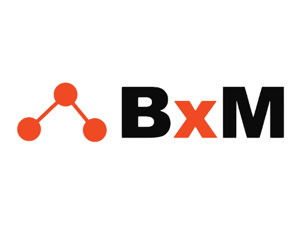 Bild 1 von BxM Consulting