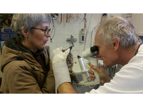 Bild 11 von Tierambulatorium Schramm Herbert Dr Magvetmed Magrernat - Tierarzt und Biologe (Zoologe)