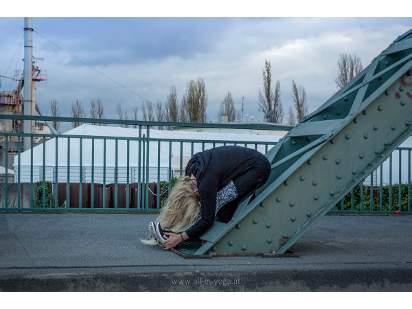 Bild 3 von ALL IN YOGA Irene Kapl