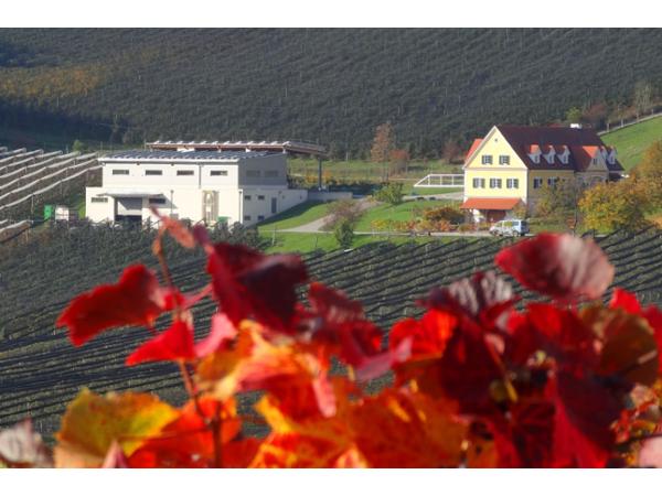 Bild 2 von Weinhof Leitner