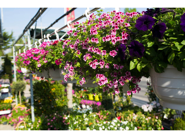Bild 17 von PENZO Flora Flötzersteig GmbH