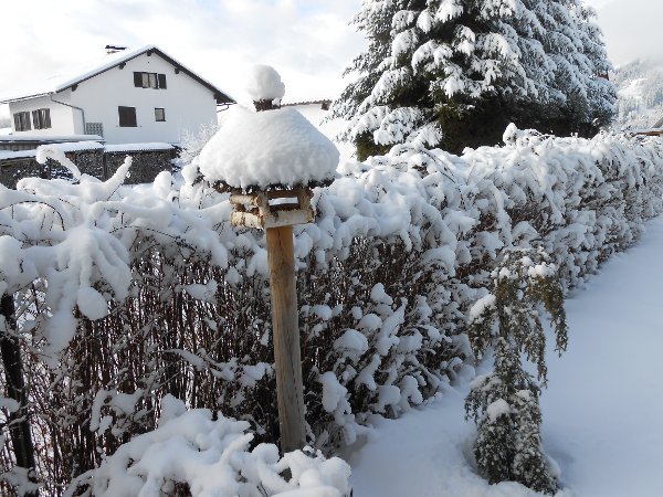 Bild 11 von Pension Gierlinger