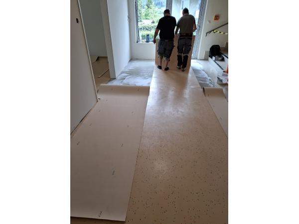 Bild 2 von Selm Böden