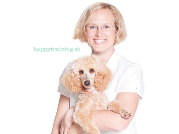 Bild 1 von Happy Training Tiertraining!