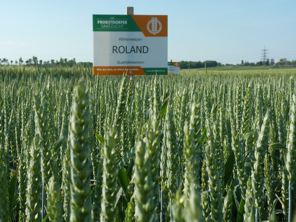 Bild 14 von Probstdorfer Saatzucht GesmbH & Co KG
