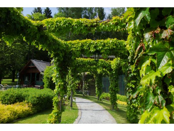 Bild 1 von Gartenlipp GmbH