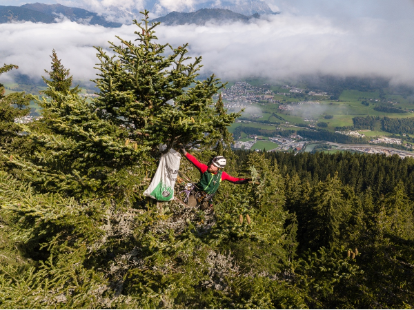 Bild 9 von Steirische Landesforstgärten Aussenstelle Salzburg