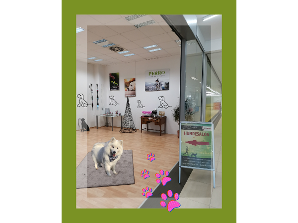 Bild 7 von PERRO - Villach Evelyne Bischof, Zoofachhandel & Hundesalon