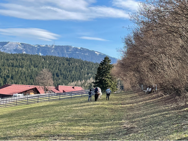Bild 16 von Zottlerhof - Bio . Alpakas . Kräuter . Spinnräder . Auszeithof