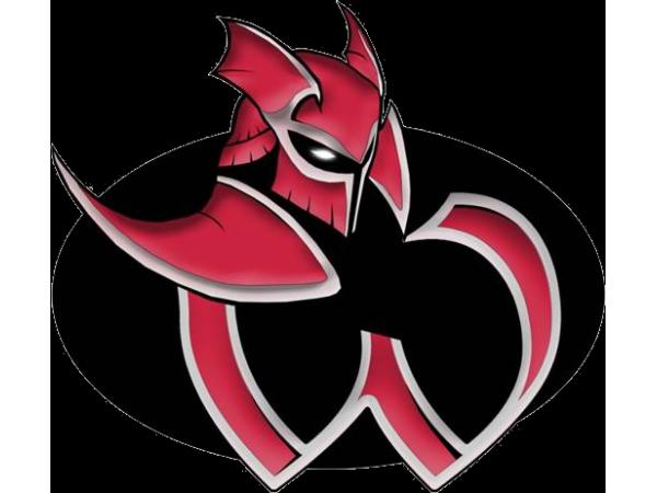 Bild 2 von RED TIGERS American Football Club
