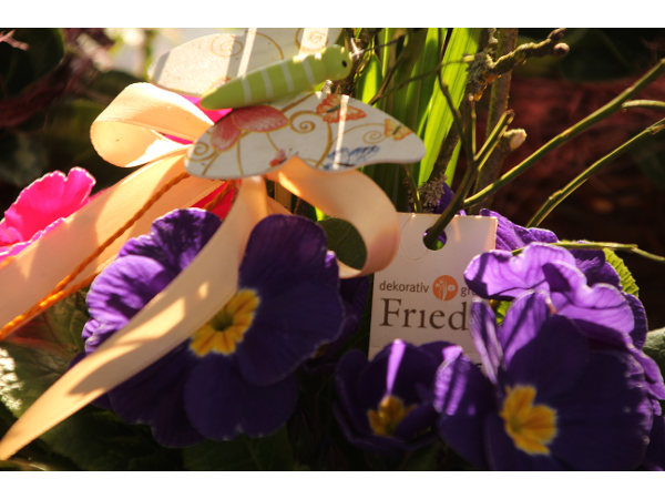 Bild 174 von Gartenbau-Blumen Helmut Friedl