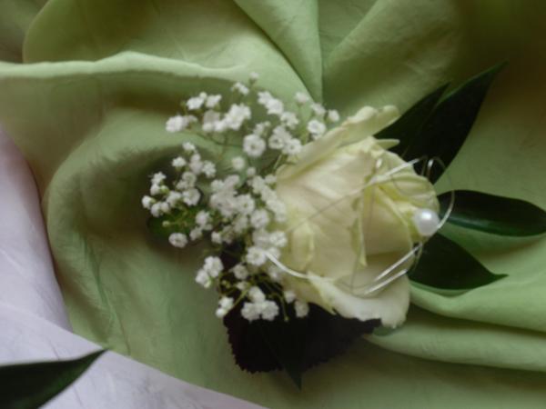 Bild 8 von Blumen Weiss