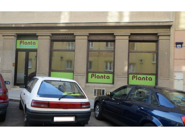 Bild 1 von Planta Naturstoffe VertriebsgesmbH