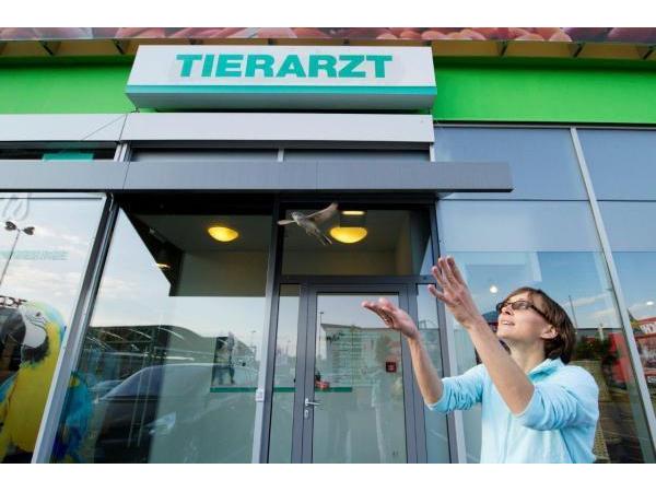 Bild 9 von TIERplus Brunn am Gebirge - mein Tierarzt bei Megazoo