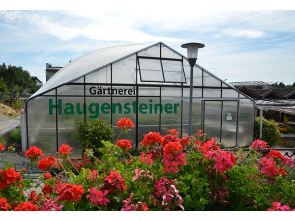 Bild 1 von Haugensteiner Gabriele