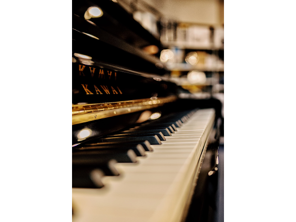 Bild 19 von APM-Music GmbH