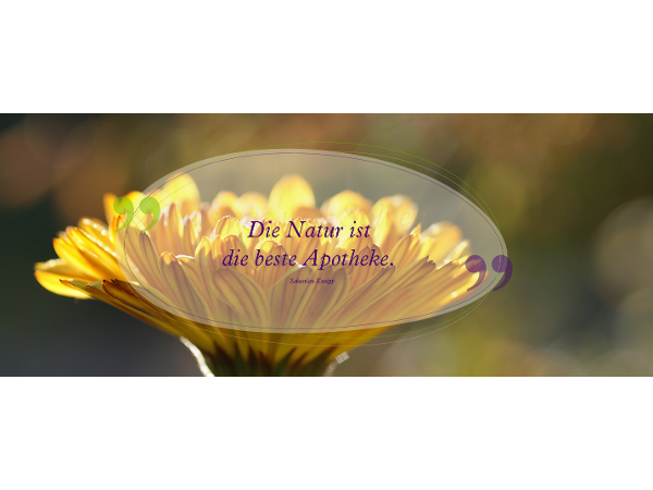 Bild 5 von AROMAGLÜCK - Marianne Pircher