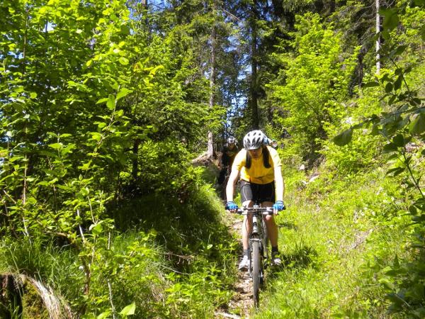 Bild 1 von FAHRRAD-CENTER Faaker See Messner Alexander