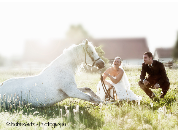 Bild 8 von Schober Arts-Photograph - Silvia Schober