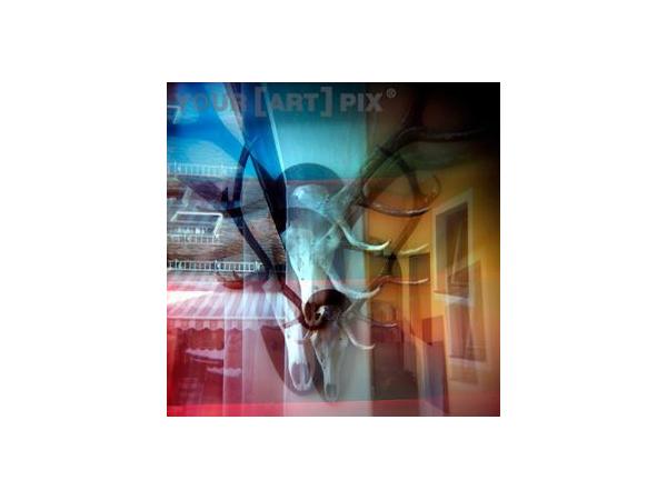 Bild 2 von YOUR[ART]PIX - Katharina Neuwirth